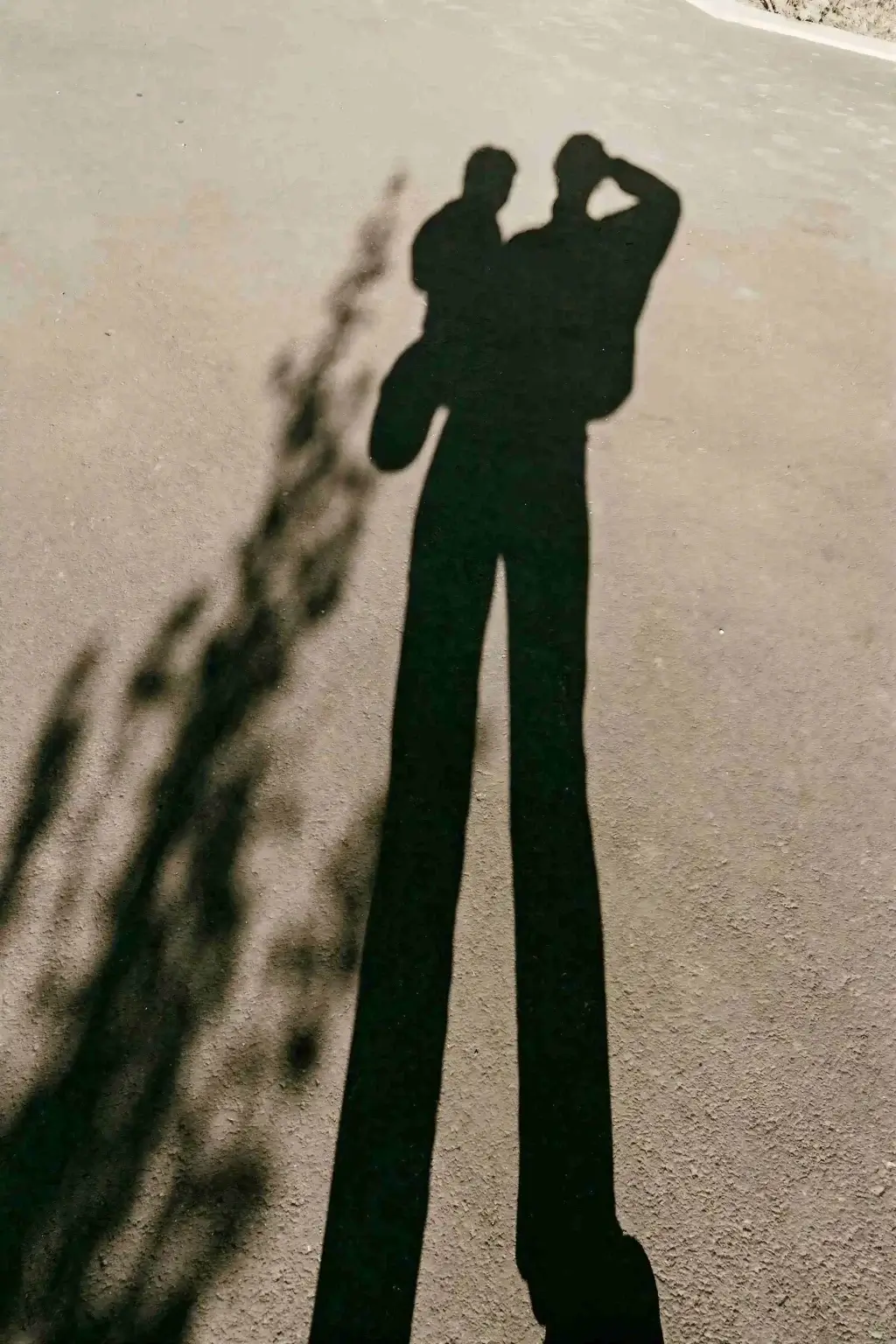 toa heftiba k2o8hycjzew unsplash le upscale strong light ai 30 tone enhance 30 color enhance 30