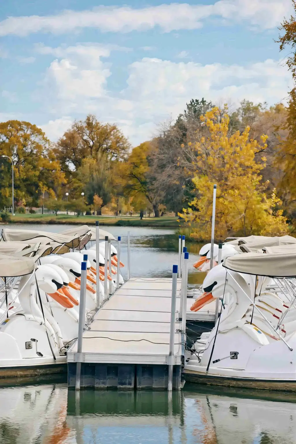 oct242025 1a3a0004 1